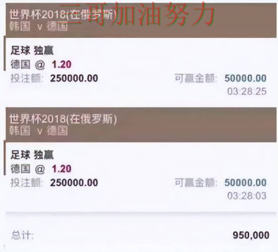 世界杯官方信息期间热门世界杯买球平台解析与直播入口分析